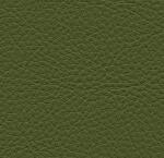 Symphony Classic Sage